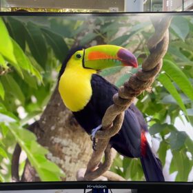 332360457 572619107919689 7062984898783280247 N