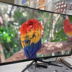 332402463 583138253430232 2220344894119329156 N